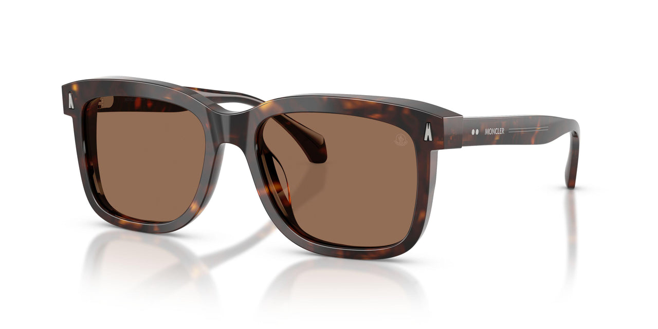 300273 - Tortoise - Brown Solid