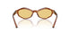 511485 - Brown - Yellow