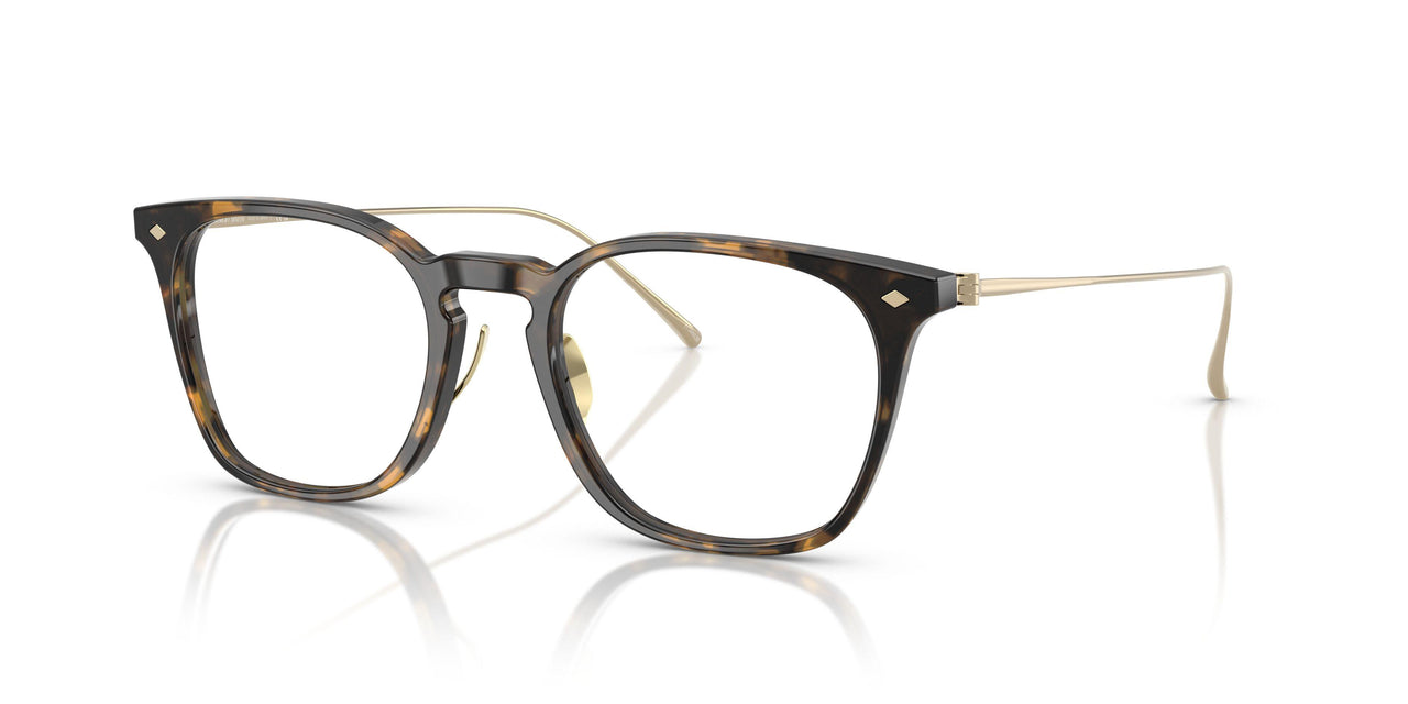 6207 - Tortoise