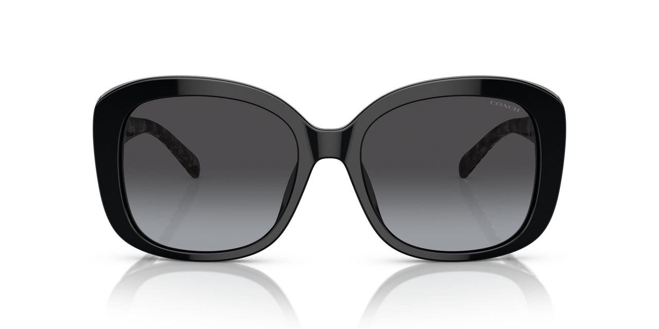 50028G - Black - Grey Gradient
