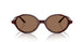 178973 - Violet - Brown