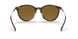 710/83 - Tortoise - Brown