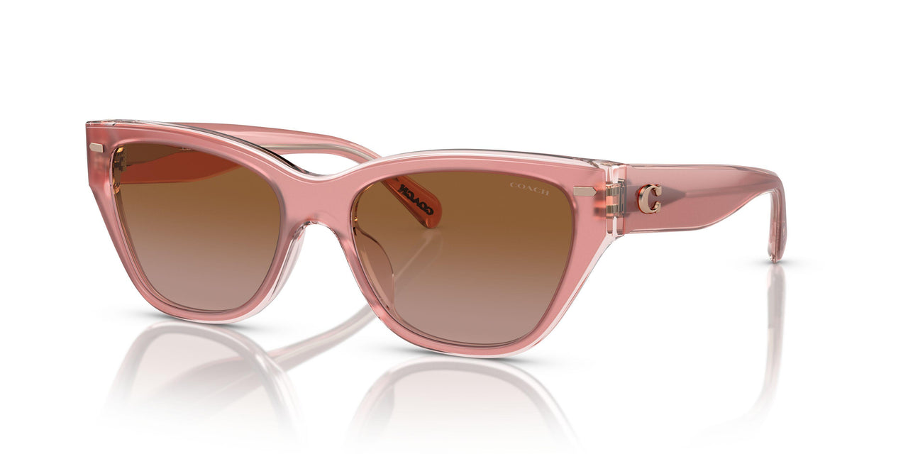 574313 - Pink - Brown Gradient