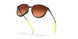 928802 - Green - Prizm Brown Gradient