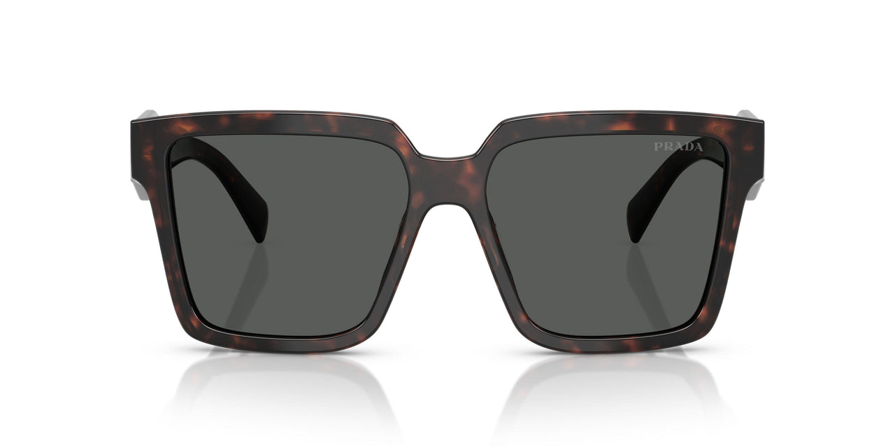 17N40L - Tortoise - Dark Grey