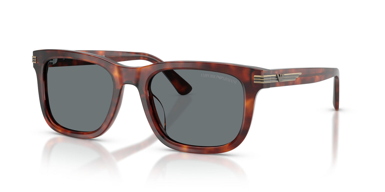 Emporio Armani 4282U Sunglasses