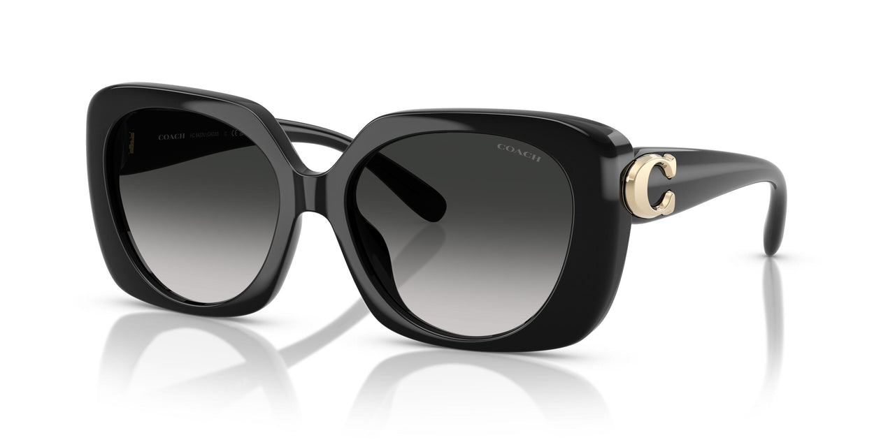 50023C - Black - Grey Gradient