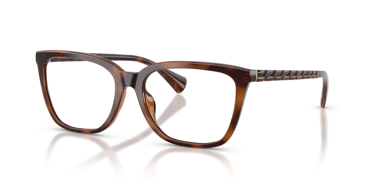 6149 - Tortoise