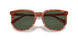 577482 - Tortoise - Green