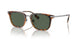 300271 - Brown - Dark Green