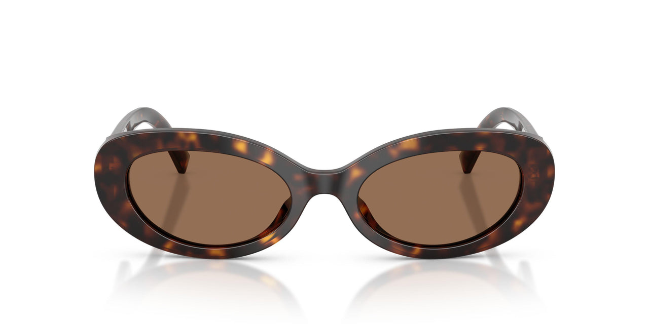 502/73 - Tortoise - Dark Brown