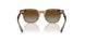 7152T5 - Brown - Brown