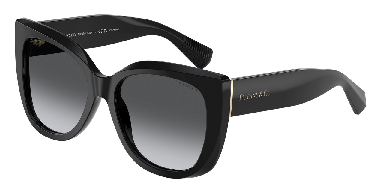 8001T3 - Black - Polar Grey Gradient