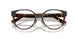8015 - Tortoise