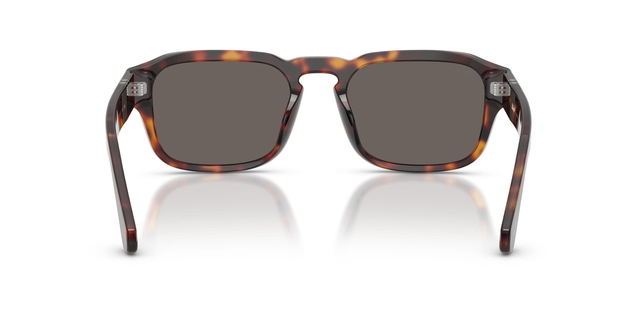 24/B1 - Tortoise - Dark Grey