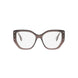 048 - Shiny Brown - DEMO