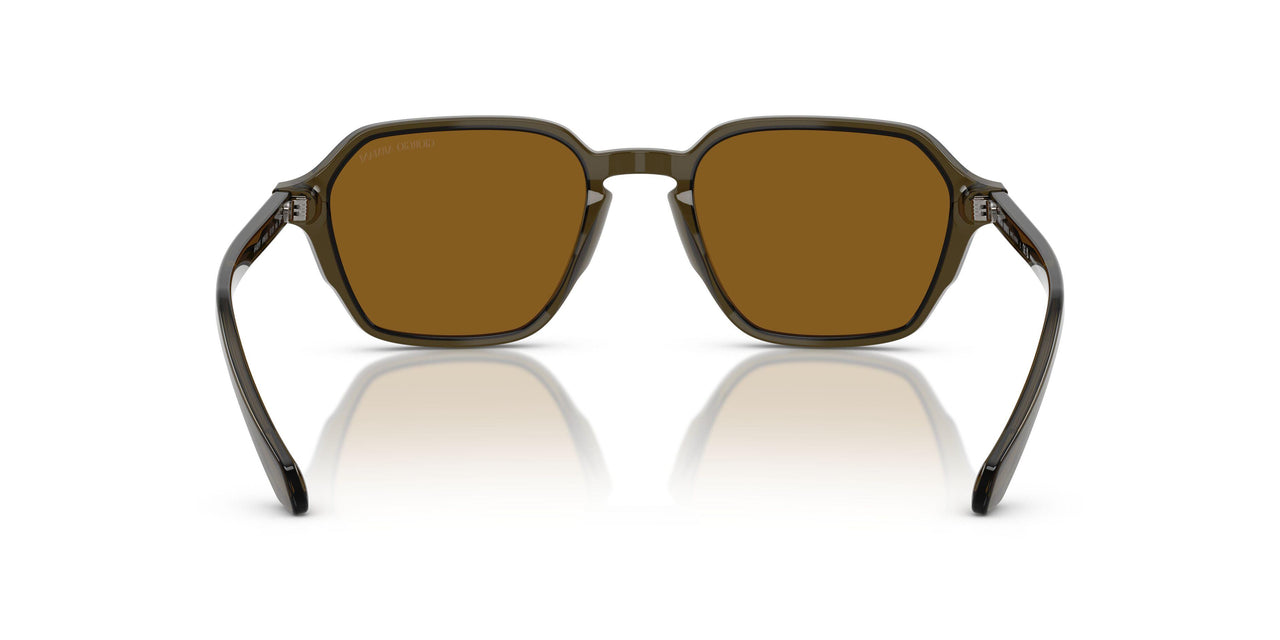 616933 - Green - Brown