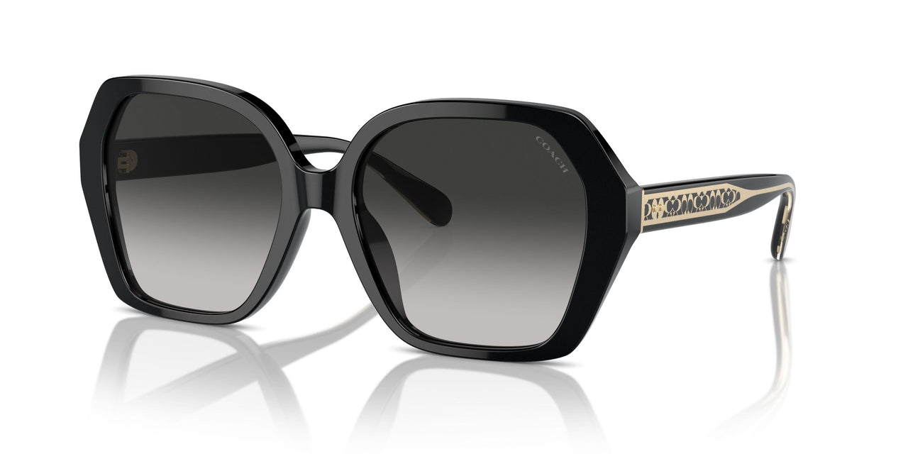 50023C - Black - Grey Gradient