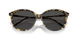 177887 - Tortoise - Grey