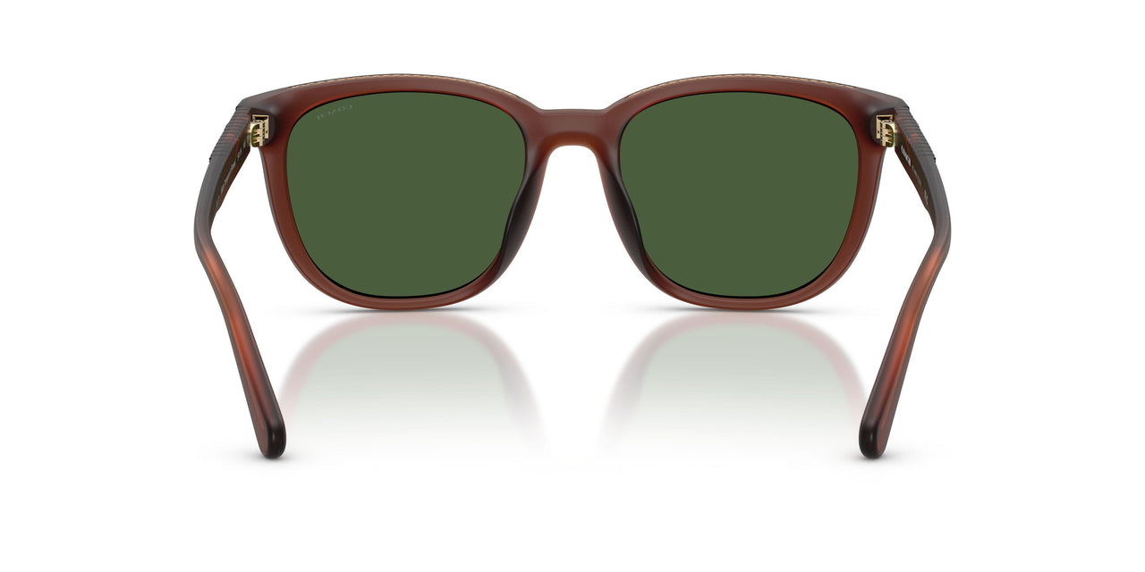 591171 - Brown - Green Solid