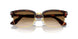 24/51 - Tortoise - Clear Gradient Brown