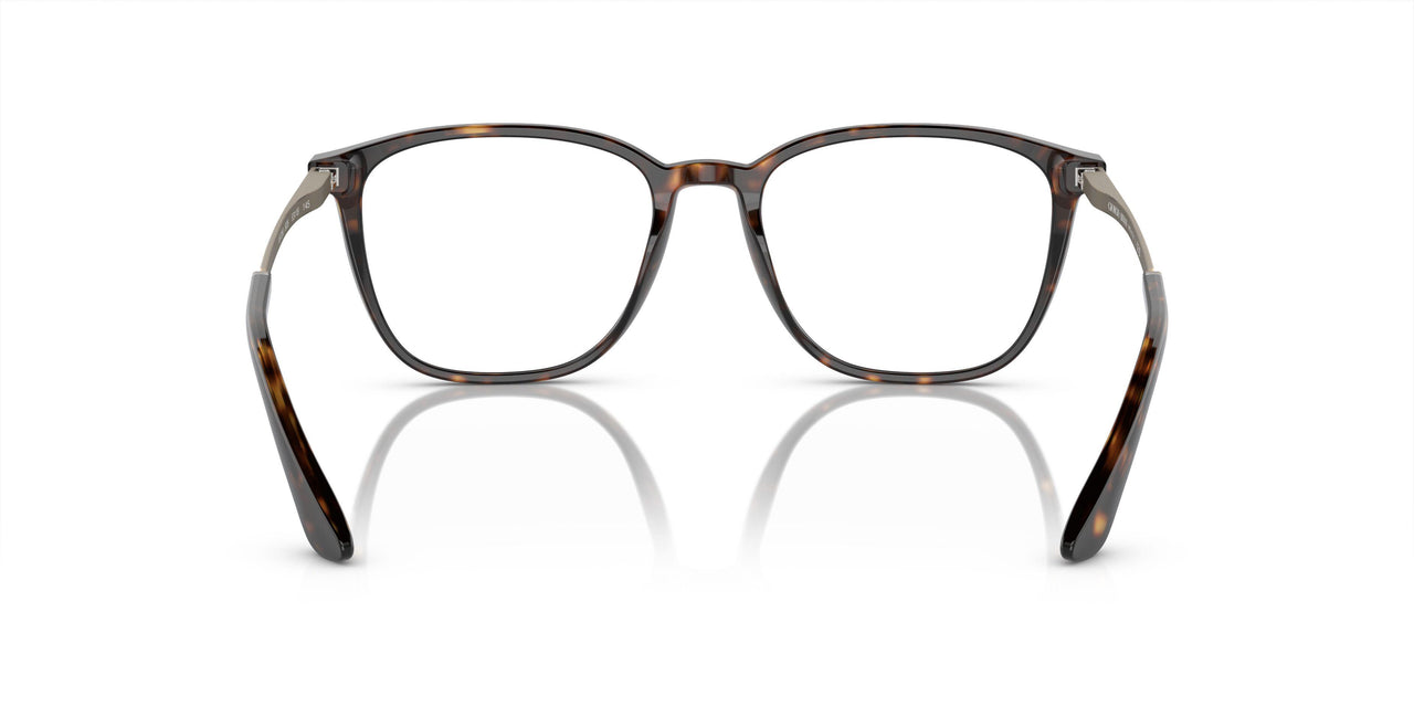 5026 - Tortoise