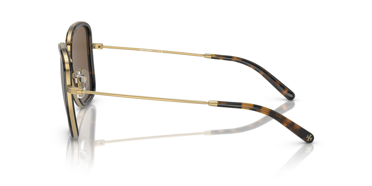 336373 - Tortoise - Brown Gradient