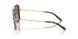 336373 - Tortoise - Brown Gradient