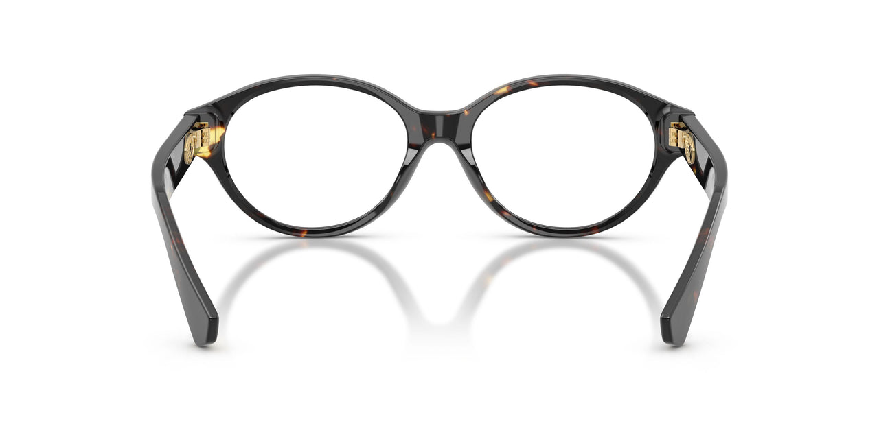 4106 - Tortoise