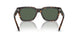 122271 - Brown - Dark Green