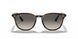 710/11 - Havana - Grey Gradient Dark Grey