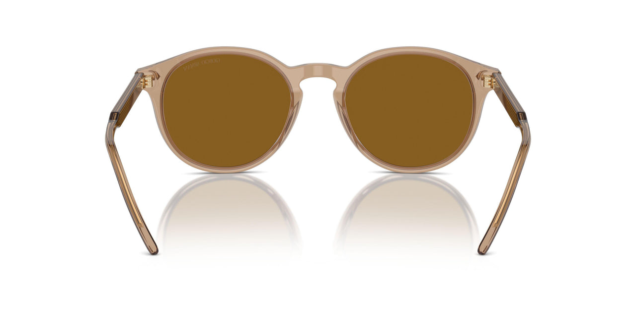 607233 - Brown - Brown