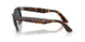 1463R5 - Tortoise - Blue