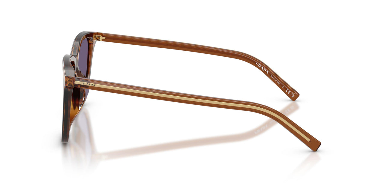 25O70W - Brown - Violet