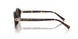 80153G - Tortoise - Light Brown