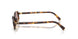 14L20I - Tortoise - Light Purple Brown
