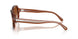 630613 - Brown - Gradient Brown