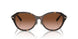 80153B - Tortoise - Brown Gradient