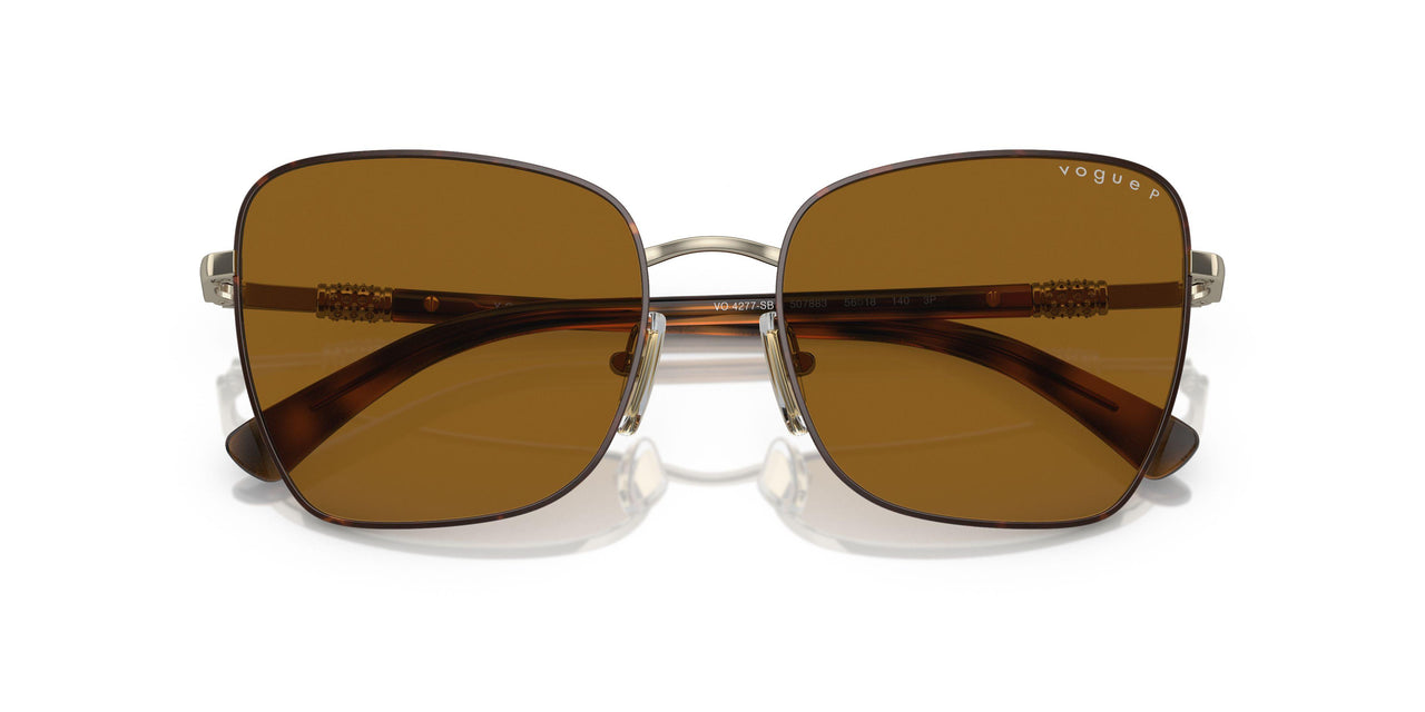 507883 - Havana - Polar Dark Brown