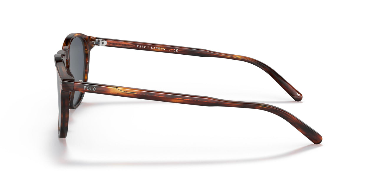 500787 - Havana - Dark Grey