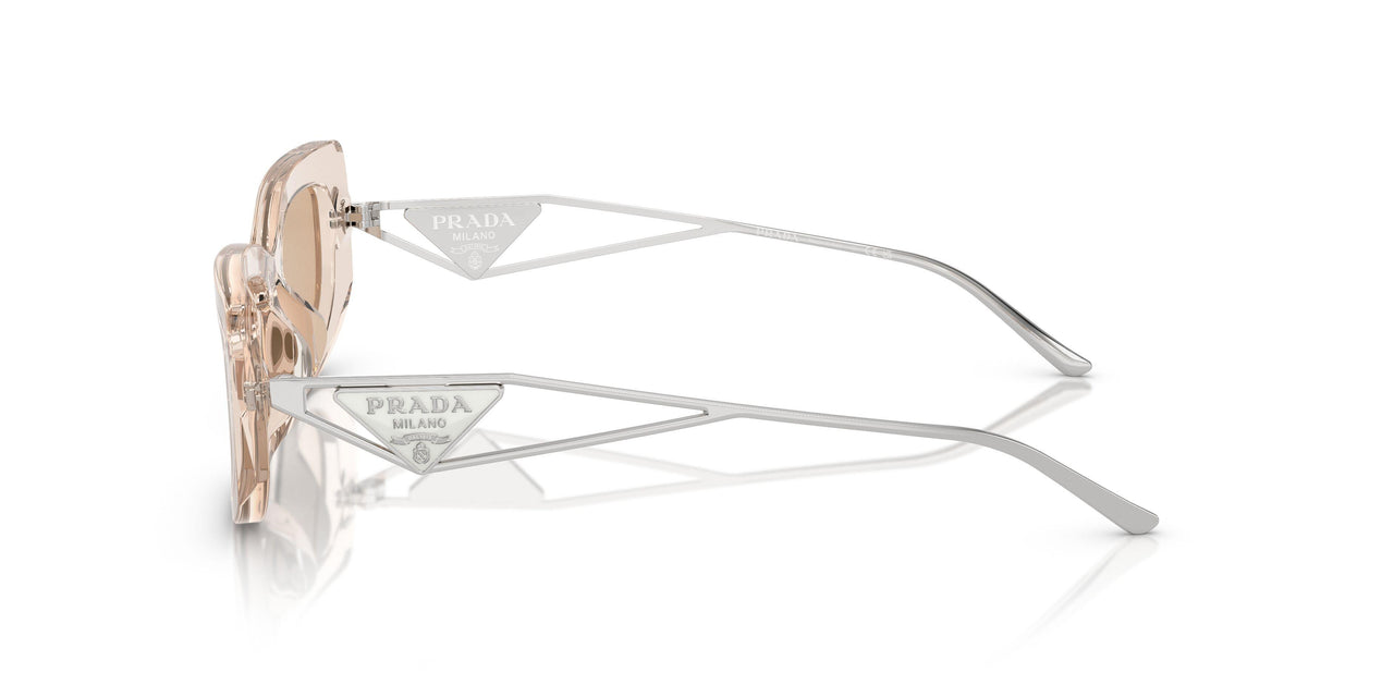 19M4I2 - Brown - Light Brown