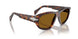 24/33 - Tortoise - Brown