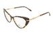 C2 - C2 Tortoise Gold
