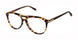Victor Glemaud VGOM009 Eyeglasses