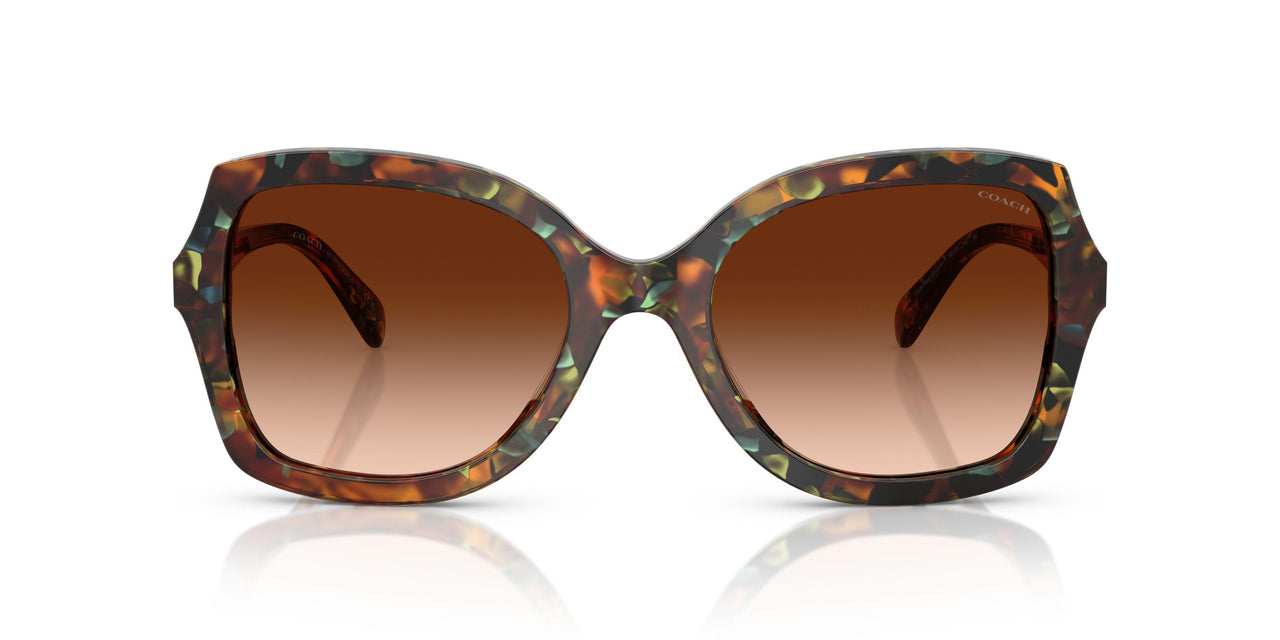 584474 - Brown - Brown Gradient