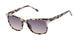 L.A.M.B. LA592 Sunglasses