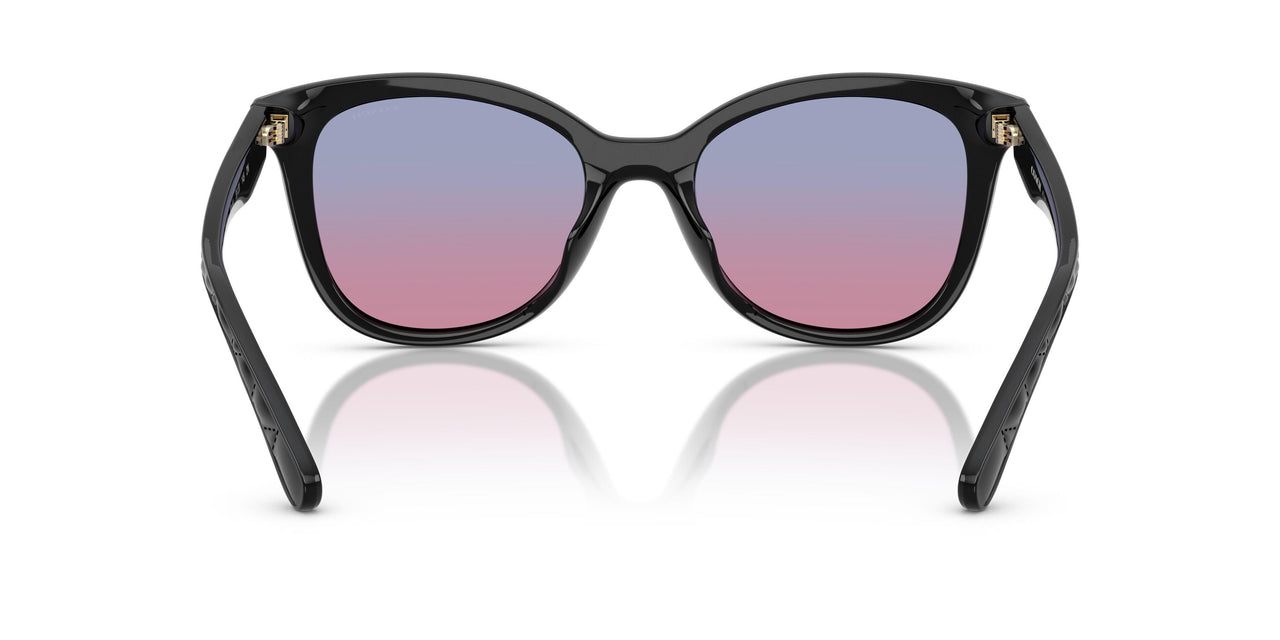 500218 - Black - Blue Purple Gradient