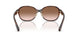 512013 - Tortoise - Brown Gradient