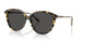 177887 - Tortoise - Grey
