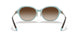81343B - Havana - Brown Gradient
